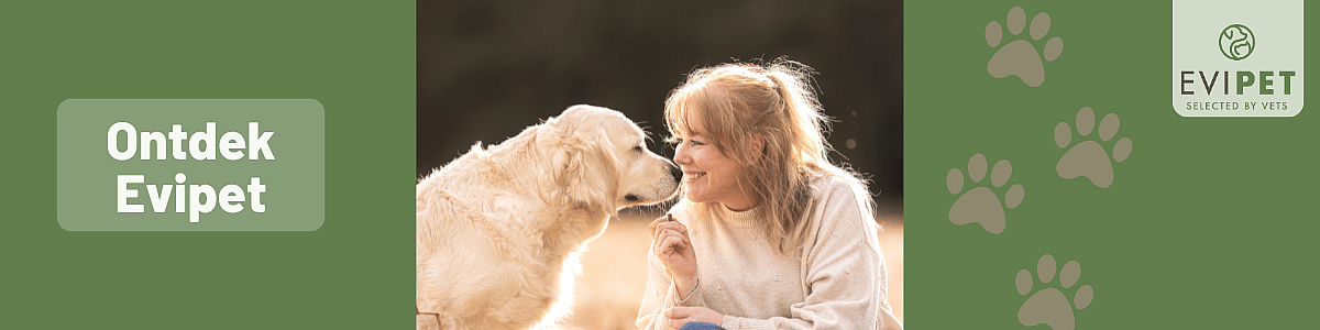 Persoon, Hond, Huisdier, Golden Retriever, Persoon, Hond, Huisdier, Golden Retriever